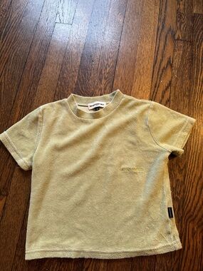 Shadow Hill Cropped Tee in Pale Green